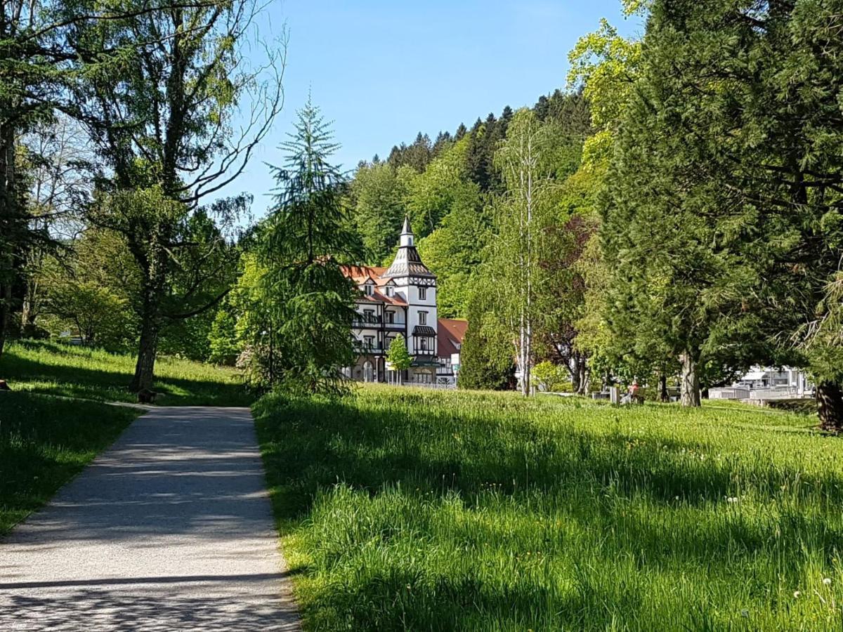 Am Klosterviertel Bad Herrenalb Eksteriør bilde